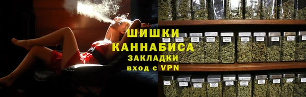 сатива Пересвет