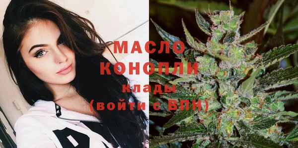сатива Пересвет