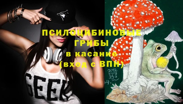 стафф Осташков