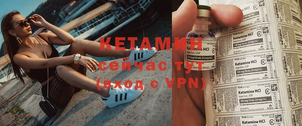 сатива Пересвет