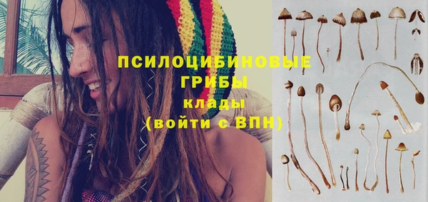 спиды Переславль-Залесский