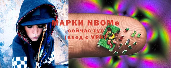 сатива Пересвет
