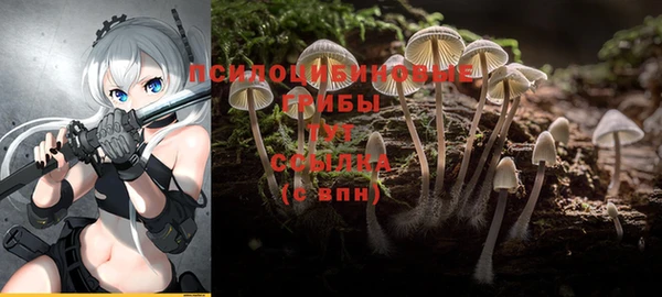 прущая мука Болхов