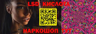 меф Гатчина
