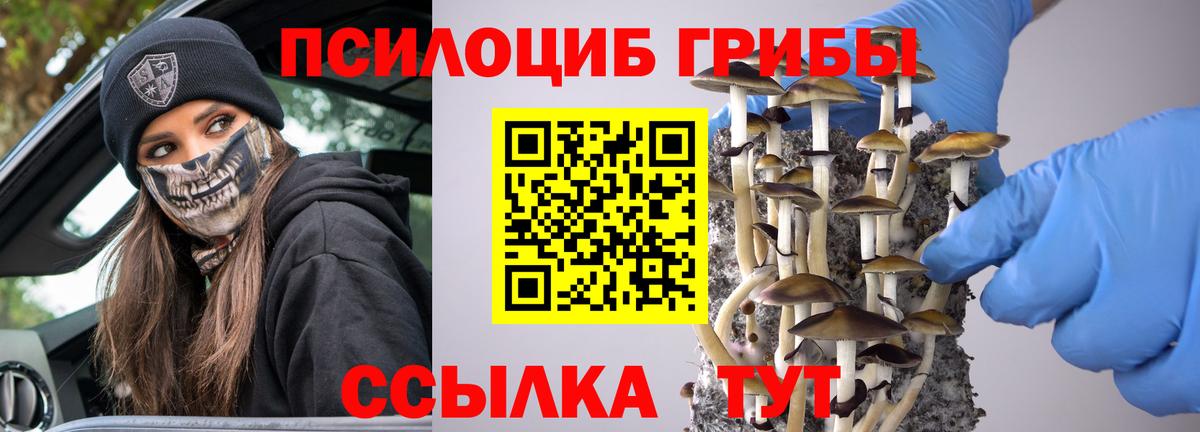 хочу   Владивосток  Галлюциногенные грибы Cubensis  Галлюциногенные грибы прущие грибы 