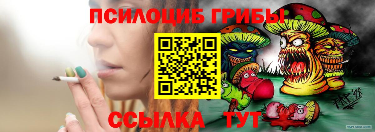 Галлюциногенные грибы GOLDEN TEACHER  Вход с VPN  Галлюциногенные грибы ЛСД  Владивосток 