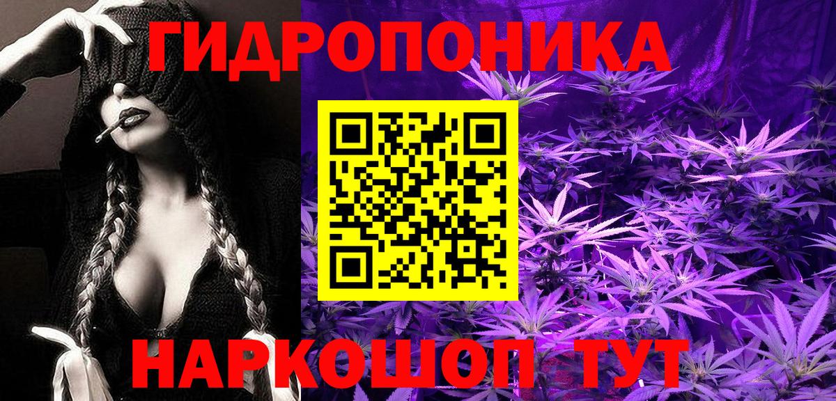 Псилоцибиновые грибы Владивосток